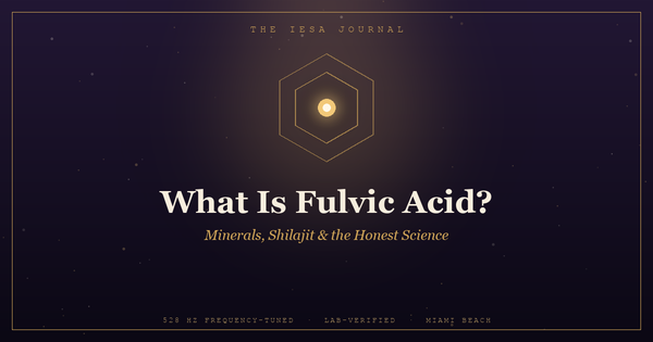 What Is Fulvic Acid? Benefits, Sources, and How It Relates to Shilajit