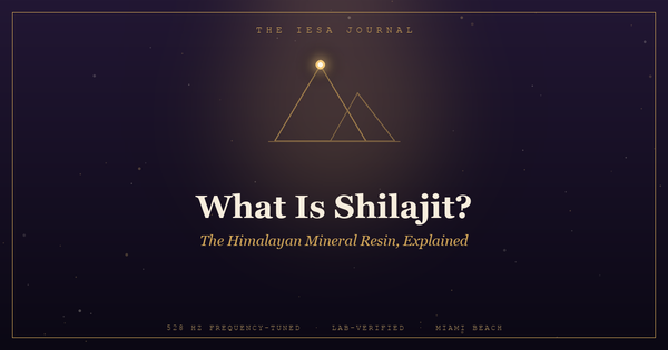 What Is Shilajit? A Plain-English Guide to the Himalayan Resin