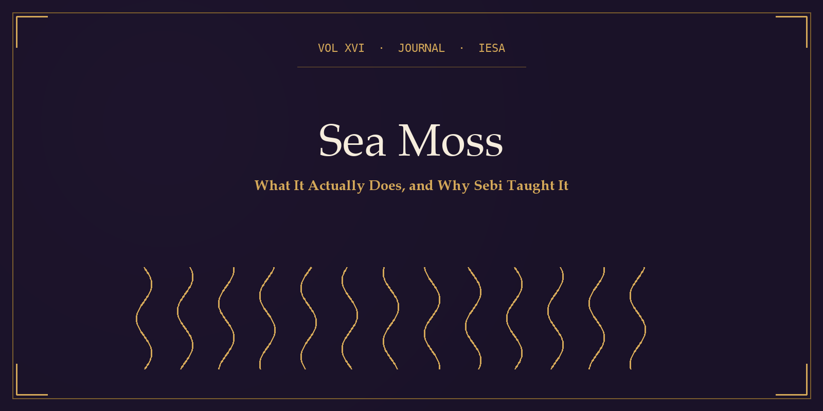 IESA Journal Volume XVI cover with the title "Sea Moss" set in serif type over gold strand silhouettes on a deep plum background.