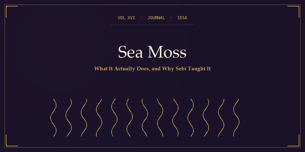 Sea Moss: What It Actually Does and Why Sebi Taught It