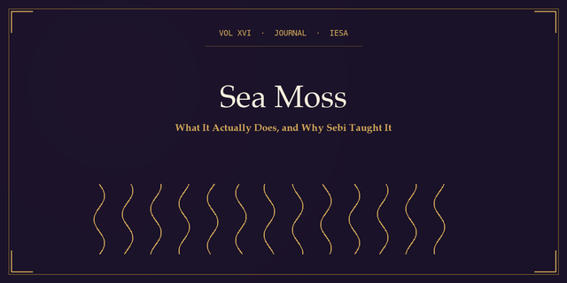 Sea Moss: What It Actually Does and Why Sebi Taught It